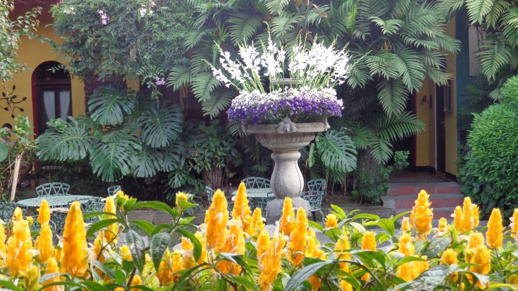 Hotel Casa Antigua By Ahs Ngoại thất bức ảnh